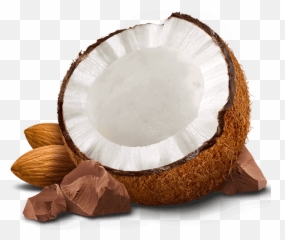 Vector Png Transparent Background - Coconut With Chocolate Png,Almond Transparent