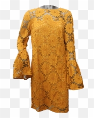 Ladies Lace Fashion O Png