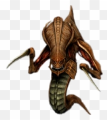 Download Free Png Background - Zergstarcrafttransparent Starcraft Zerg Png,Zerg Logo