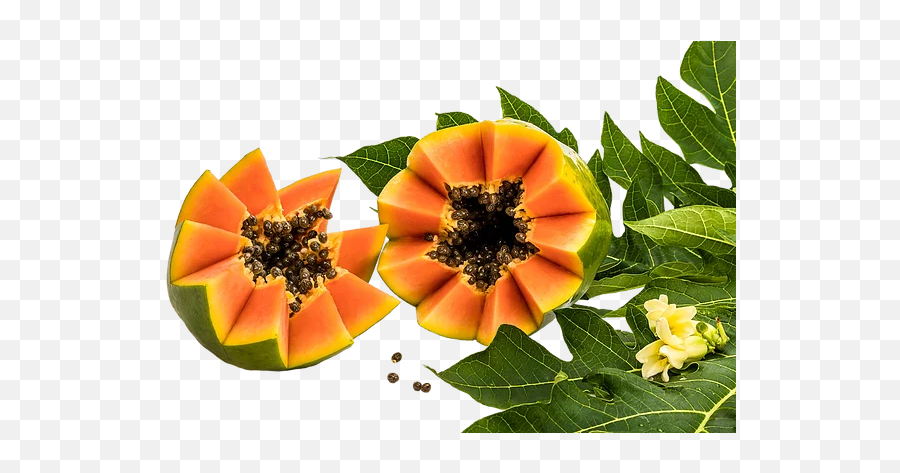 Imperial Papaya - Superfood Png,Papaya Png