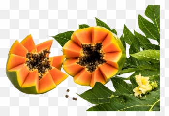 Imperial Papaya - Superfood Png,Papaya Png