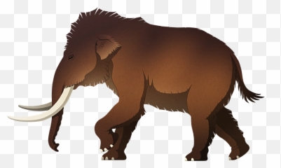 Pygmy Mammoth Dinosaur Wiki Fandom - Big Png,Mammoth Png