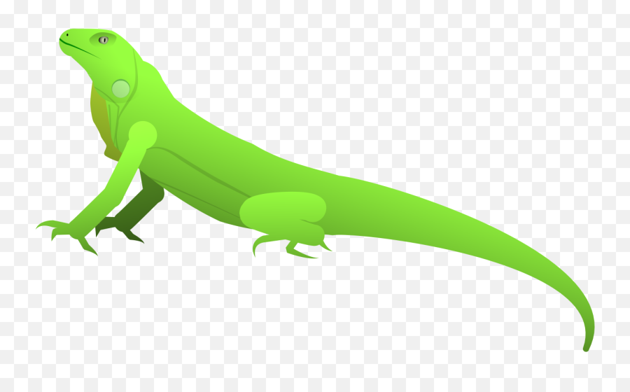 Iguana Png - Iguana Carolina Anole 824141 Vippng Animal Figure,Iguana Transparent Background