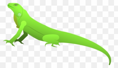 Iguana Png - Iguana Carolina Anole 824141 Vippng Animal Figure