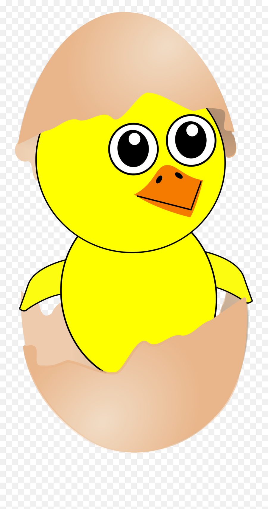 Funny Chick Coming Out From The Egg With A Eggshell Hat - Chick Coming Out Of An Egg Clipart Png,Funny Hat Png