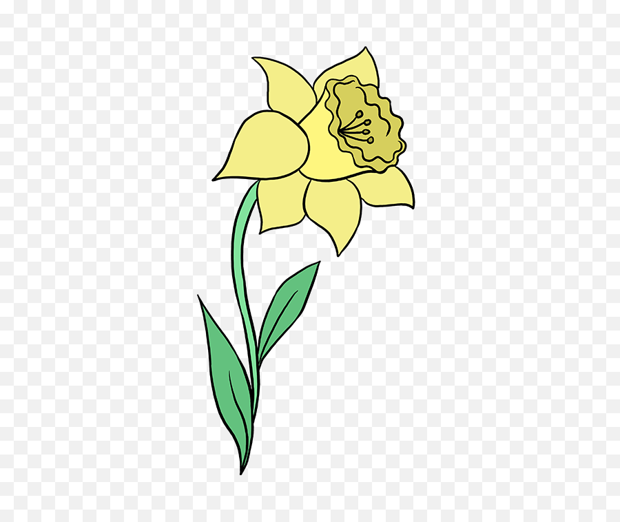 Daffodil Png Image With No Background
