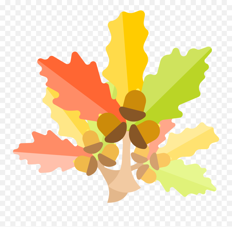 Oak Tree Leaves Clipart Free Download Transparent Png - Red Maple,Oak Tree Png