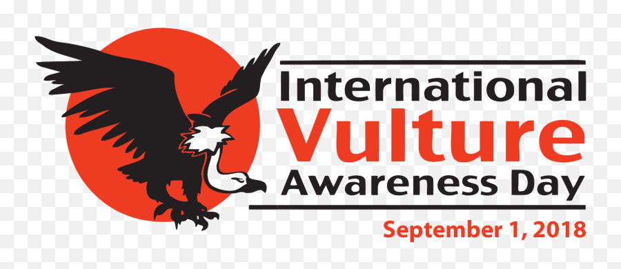 Hawk Clipart Raptor Bird - International Vulture Awareness Day 2018 Png,Vulture Transparent