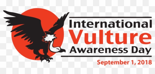 Hawk Clipart Raptor Bird - International Vulture Awareness Day 2018 Png,Vulture Transparent
