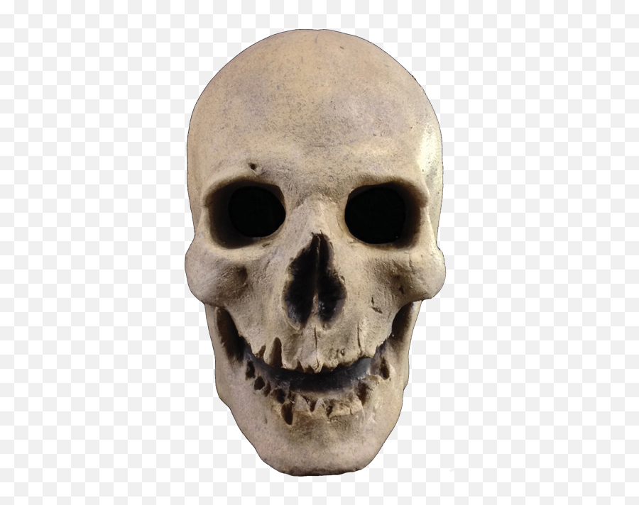 Antique Skull Halloween Skeleton Mask - Antique Skull Mask Png,Skull Mask Png