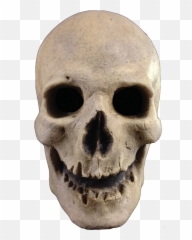 Antique Skull Halloween Skeleton Mask - Antique Skull Mask Png,Skull Mask Png