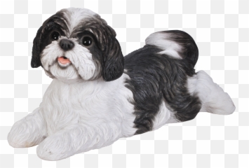 White Shih Tzu - Shih Tzu Clip Art Png,Shih Tzu Png