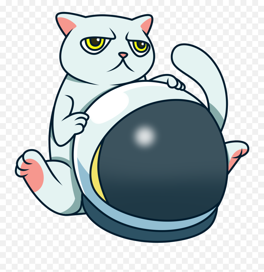 Cat Token - Cat Token Png,Cat Meme Icon