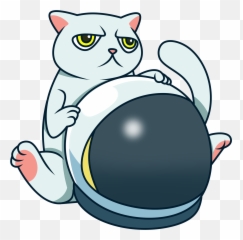 Cat Token - Cat Token Png,Cat Meme Icon