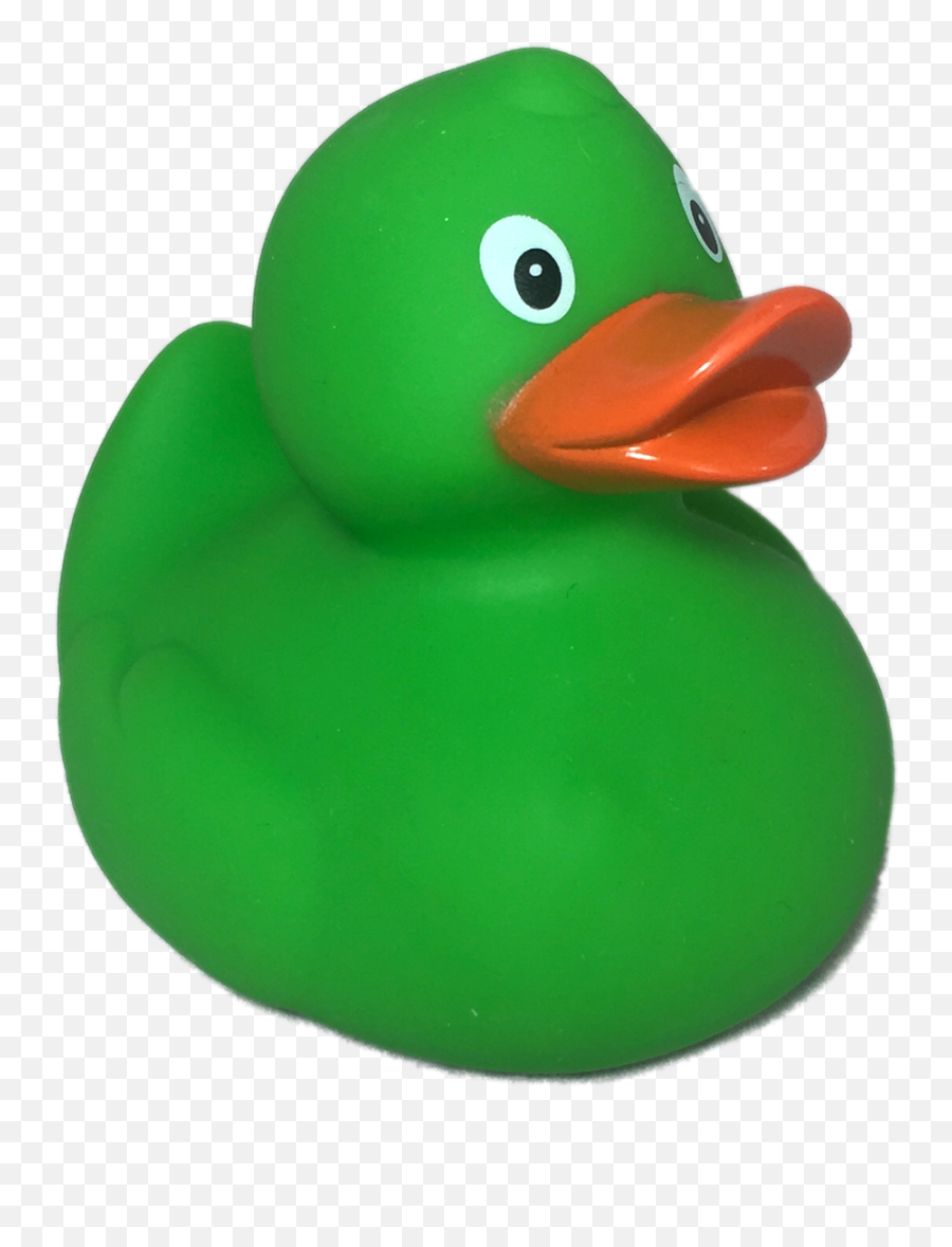 Rubber Duck Png