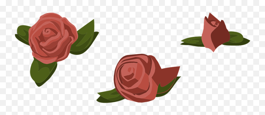 Rose Cartoon 22 Buy Clip Art - Garden Roses Png Download Pink Flowers Scattered Png,Cartoon Rose Png