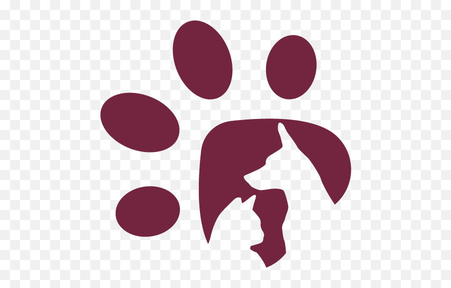 About Us U2014 Healthy Paws Animal Hospital - Dot Png,Paw Print Icon Border
