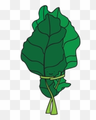 Illustration U2014 Jennifer Nerad Art U0026 Design - Bunch Kale Png,Kale Png