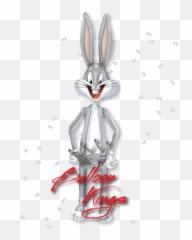 Bugs Bunny Airwalker Png