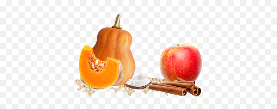 Farmer Jen And The Giant Squash - Once Upon A Farm Organics Pumpkin Png,Squash Png