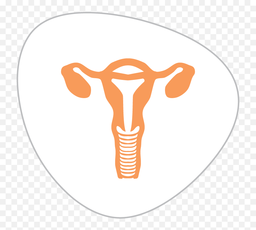 Endometrial U0026 Other Uterine Cancers Prevent Cancer - Illustration Png,Uterus Png