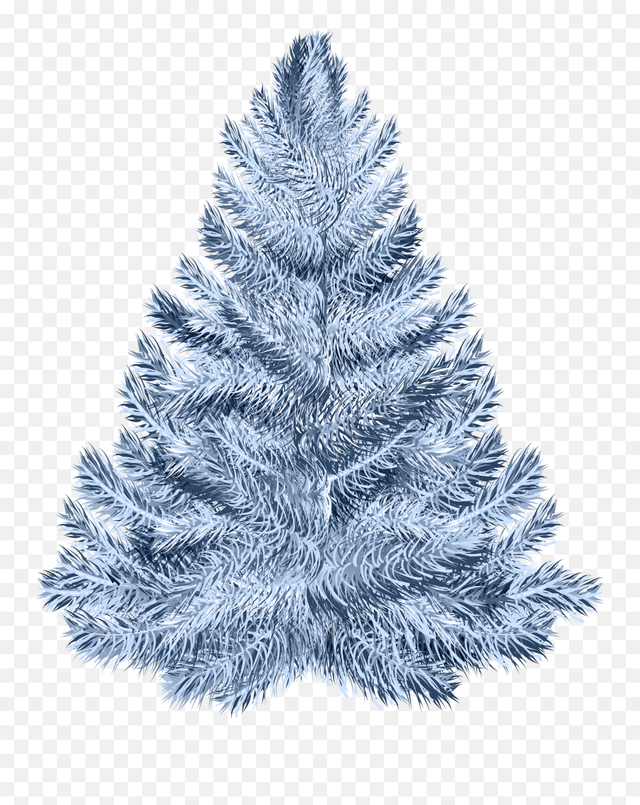 Pine Tree Clipart Christmas Png