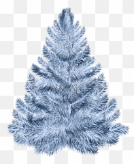 Pine Tree Clipart Christmas Png