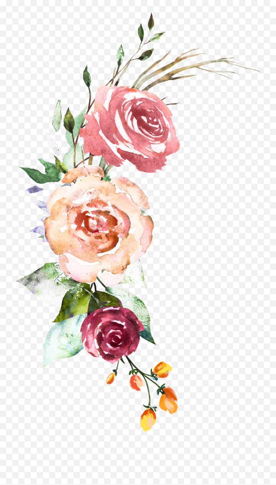 Download Garden Roses Hd Png - Uokplrs,Watercolor Flowers Png