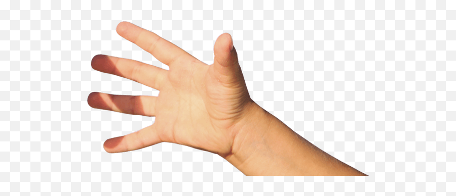 Boy Roast Hand Transparent Png - Transparent Baby Hand Png,Boi Hand Transparent