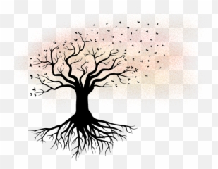 Family Tree Roots Clip - Transparent Background With Png