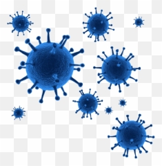 Covid - Corona Virus Png Vector,Hd Png
