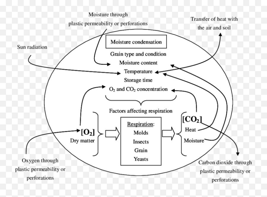 Diagram Of The Main Factors Affecting Respiration Grain - Diagram Png,Grain Png