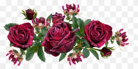 Flowers Roses Red - Free Image On Pixabay Png,Honeysuckle Png