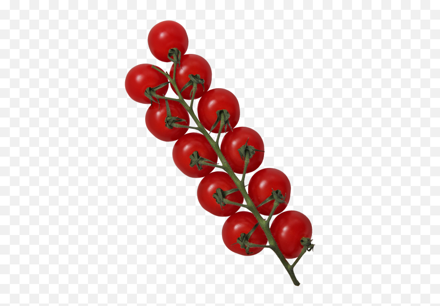 Download Hd Tomato - Cherry Tomatoes Transparent Png Image Superfood,Tomatoes Png