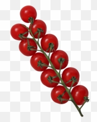 Download Hd Tomato - Cherry Tomatoes Transparent Png Image Superfood,Tomatoes Png