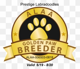 Spring Valleyu0027s Her Royal Eminence Emmie Prestige - Gold Paw png