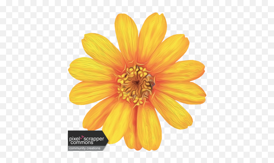 Honey Painted Flower 01 Graphic By Gina Jones Pixel - African Daisy Png,Painted Flowers Png