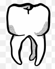 Shark Teeth Png - This Free Icons Png Design Of Tooth Dibujo De Odontología,Shark Teeth Png