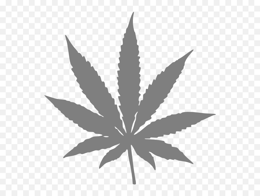 Real Weed Leaf Transparent U0026 Png Clipart Free Download - Ywd Pot Leaf,Marijuana Leaf Transparent