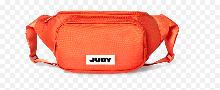 Ready Set Judy - Messenger Bag Png,Vault Icon Messenger Bag