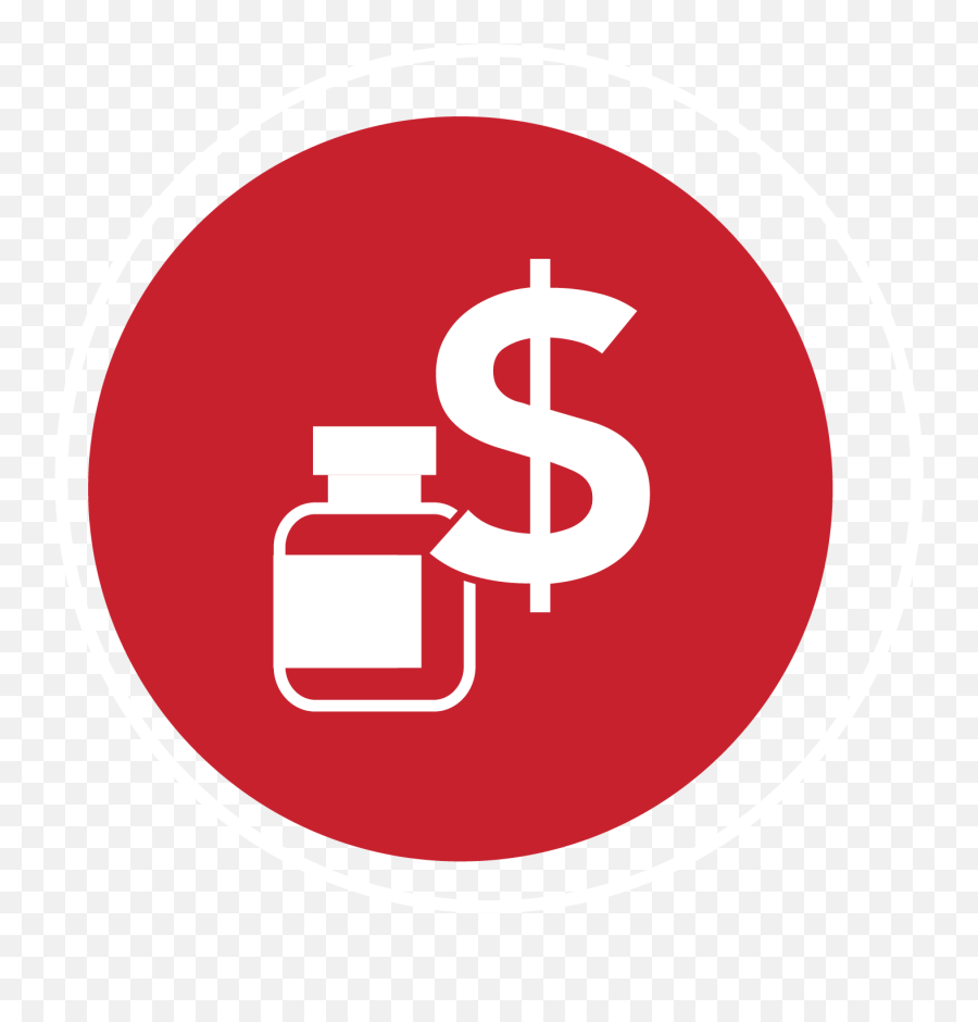 2020 - Drugtrendsandstrategicinsightsreport Trudi Png,Red Money Bag Icon