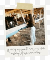 The Perfect Mom Jeans For Every Season Capsule Closet Staples - Photo Caption png