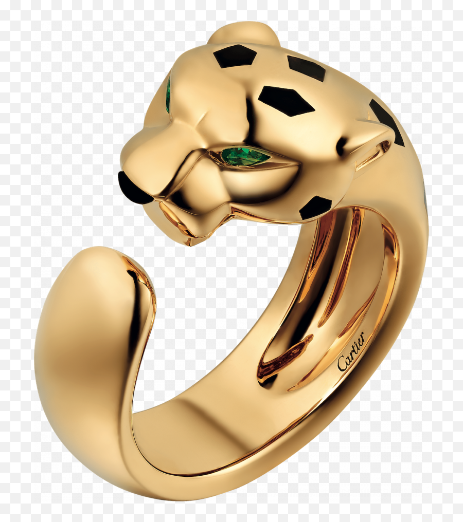 Promise Rings To Make 2022 Extra Meaningful - Her World New Panther Ring Cartier Png,Van Cleef Icon Rings