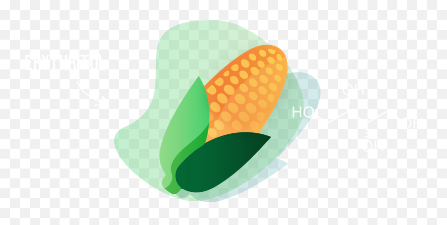 Monk Crunch - Ketofriendly No Added Sugar Almond Snacks Fresh Png,Monk Icon