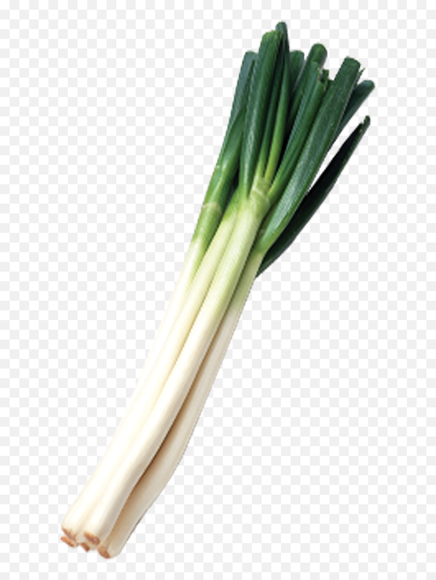 Download Green Onions Png Svg Freeuse Library - Green Onion Green ...