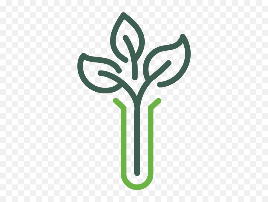 Tree Resources - Enrichmond Plant Logo Png,Money Tree Icon
