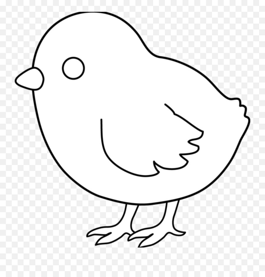 Sweet Clip Art Page Of Cute Free - Chick Clipart Png Chick Coloring Pages,Baby Chicks Png