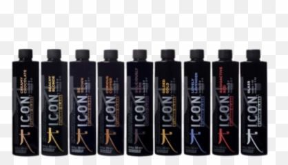 Icon Energy Shampoo - Freeman Salon Systems Icon Color Stained Glass png