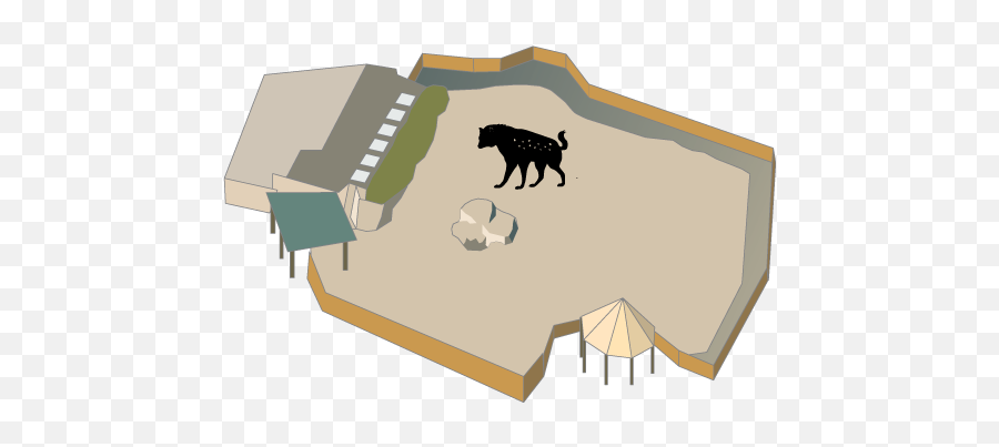 Hyena - Buffalo Zoo Buffalo Zoo Hyenas Png,Hyena Png