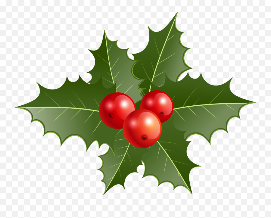 Christmas Holly Png Clip Art